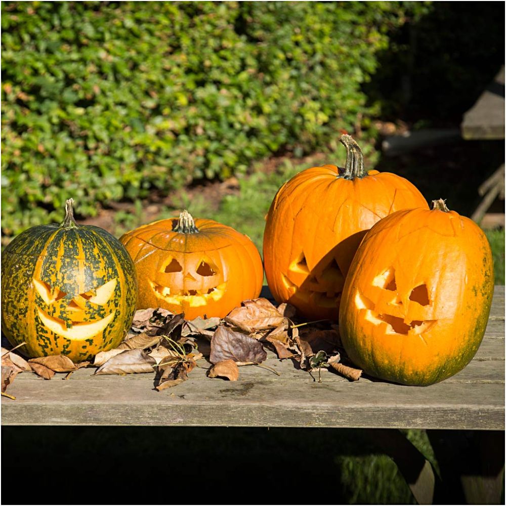 Kit intaglio zucca Halloween – 5 attrezzi e 7 sagome