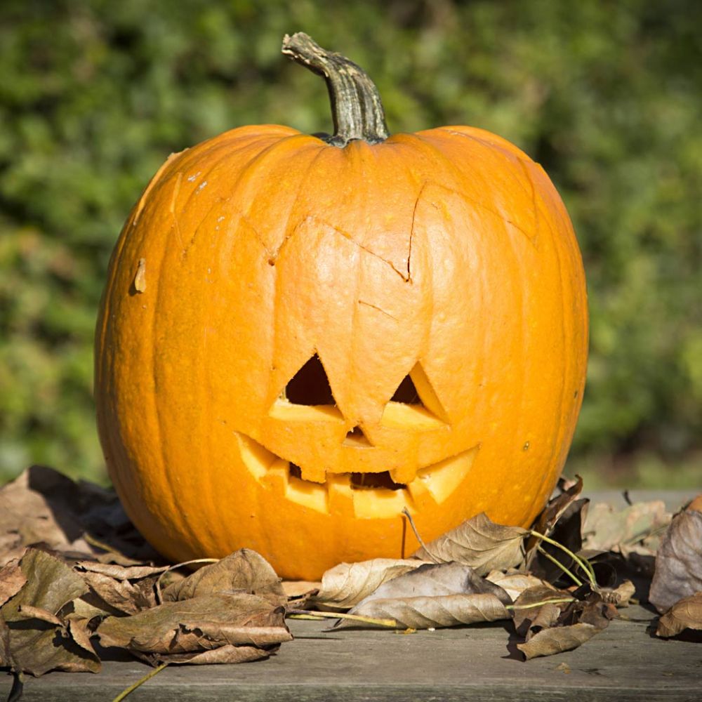 Kit intaglio zucca Halloween – 5 attrezzi e 7 sagome
