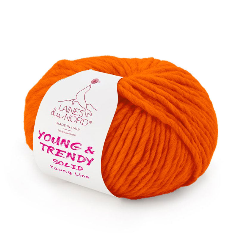 Young & Trendy Laines du Nord – Filato 100% Lana Mulesing Free 100g