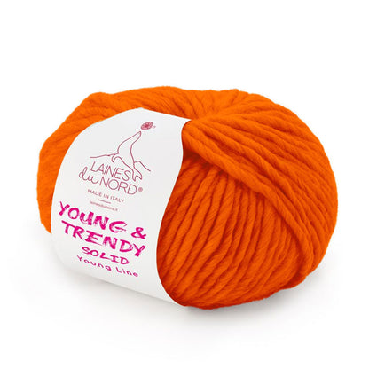 Young & Trendy Laines du Nord – Filato 100% Lana Mulesing Free 100g