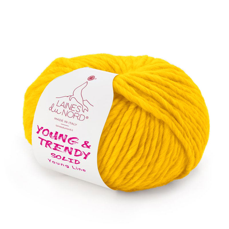 Young & Trendy Laines du Nord – Filato 100% Lana Mulesing Free 100g